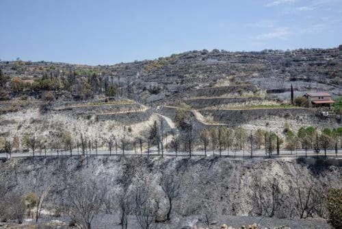 Δήμος Πάφου: «Η κοινωνία απαιτεί έργα για την πυρκαγιά, όχι λόγια»