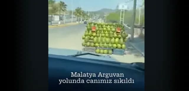 טורקיה: זעם על סרטון של צעירים המשחיתים אבטיחים