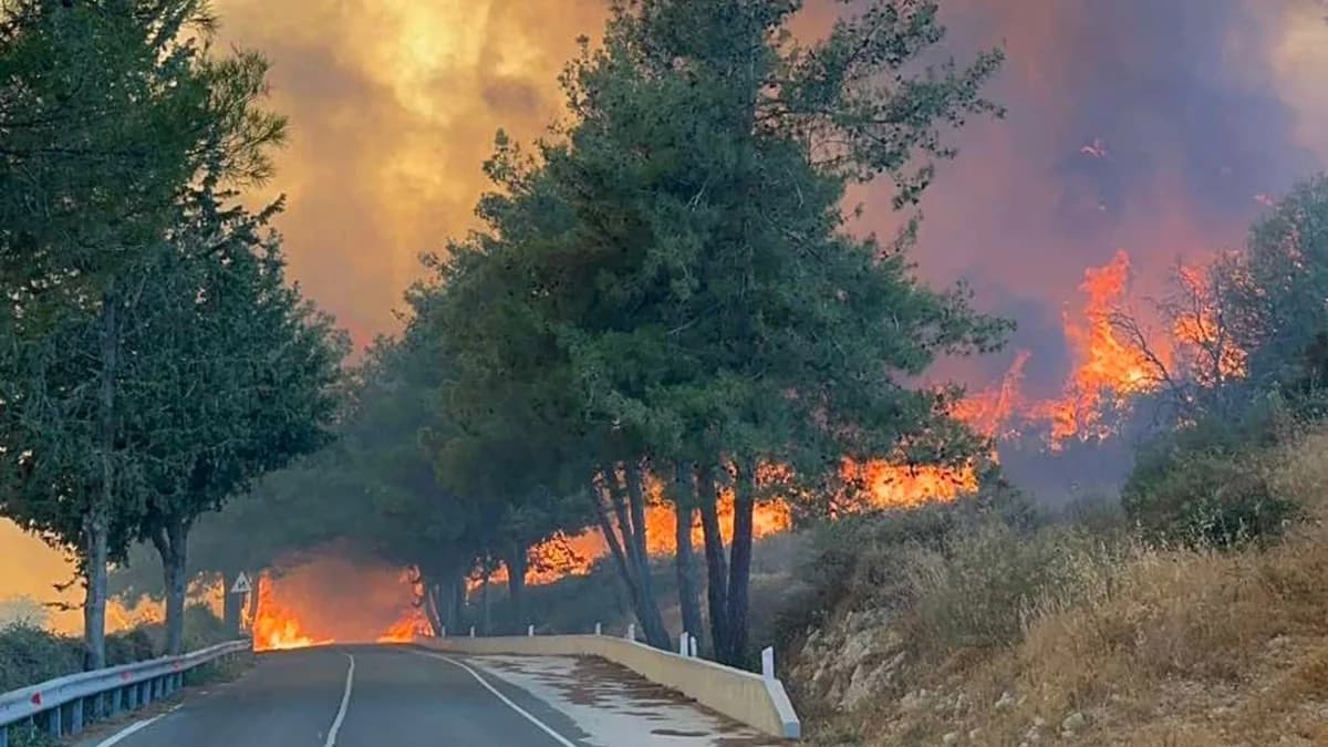 Γαβριήλ: Αποτυχία της κυβερνητικής ετοιμότητας στην πυρκαγιά της Λεμεσού