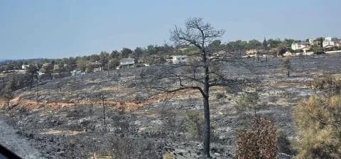 2 Millionen Euro für von Bränden betroffene Landwirte in Limassol ausgezahlt