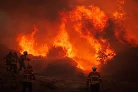 Verheerender Waldbrand in Südfrankreich: Ein Toter, neun Verletzte
