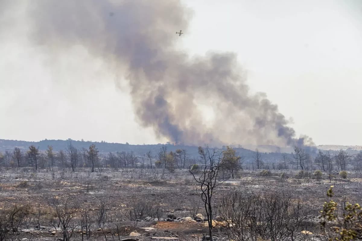 מחלקת פיתוח המים: אספקת מים מלאה ועבודות להגנה מפני שיטפונות