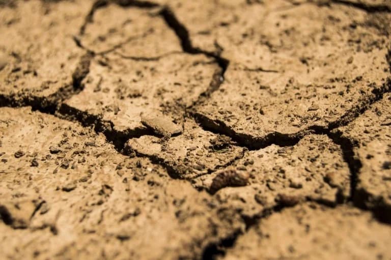 希腊多个地区干旱达到“红色”级别——8月令人担忧