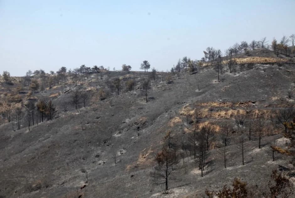 Concierto solidario en Pafos para apoyar a familias afectadas por el fuego