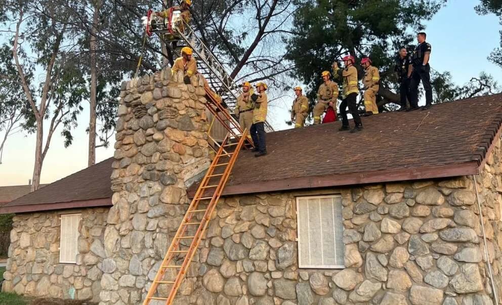 Δραματική διάσωση 30χρονης από καμινάδα στο Λος Άντζελες