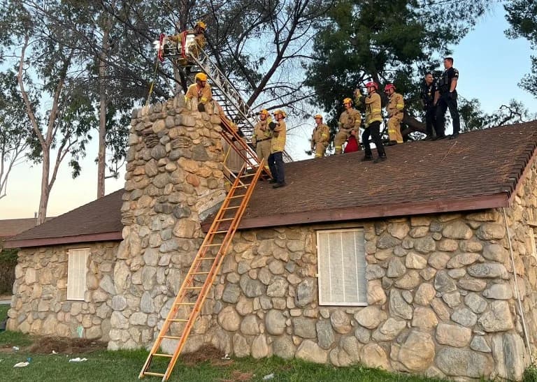 ארה"ב: אישה בת 30 חולצה מארובה בלוס אנג'לס