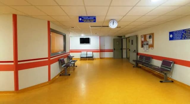 Epilepsia: Qué es y cómo se manifiesta - Explica un experto