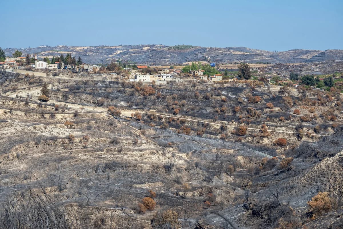 Landwirtschaftsministerin besucht von Bränden betroffene Gebiete in Limassol