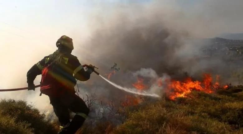 Limassol Fires: Risk of Disaster Reoccurrence