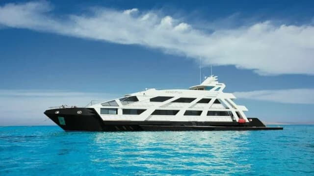 "Conceptum": Von Luxuskreuzfahrten zur Versteigerung
