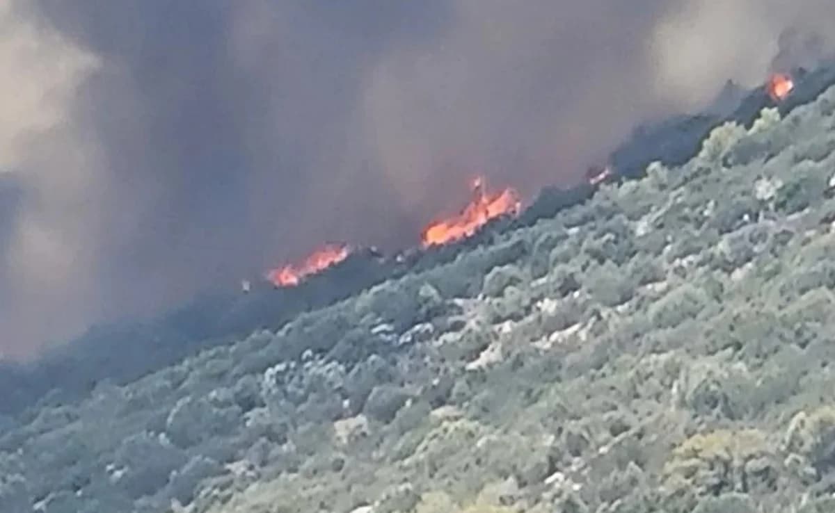 Fire in Keratea: Drosia and Charvalos Evacuated