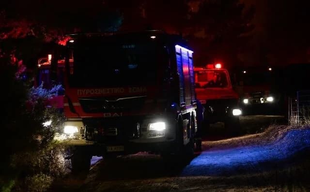 Φωτιά στο Ρούτσι Αρκαδίας: Επιχείρηση κατάσβεσης σε δασική έκταση