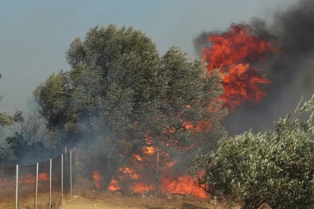 ק. ציגאס: "לשריפה במזרח אטיקה הייתה דינמיקה חזקה מאוד"