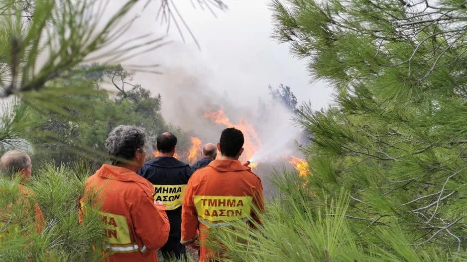 High Fire Risk: Red Alert Issued by Department of Forests
