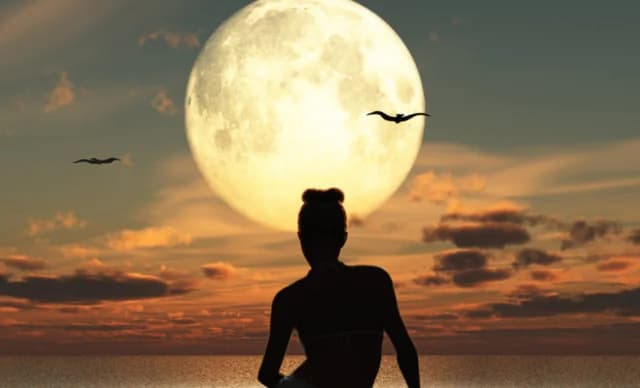 八月满月：十二生肖的占星预测