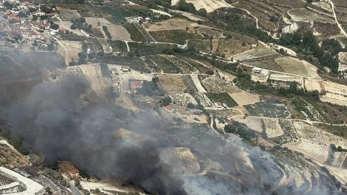 Incendio en Ómodos: Comenzó por basura, dice Kettis