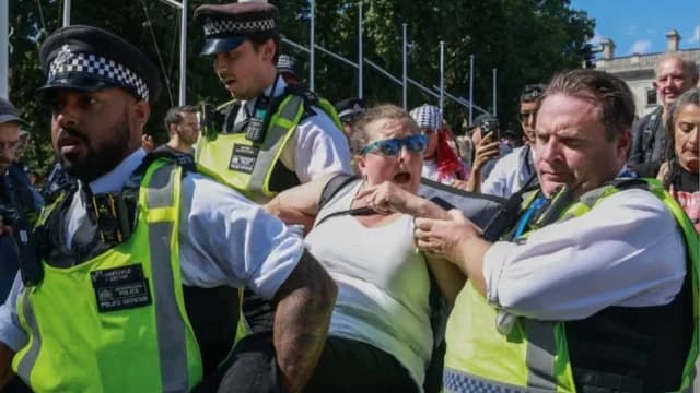 London: Fast 500 Verhaftungen bei Kundgebung zur Unterstützung von Palestine Action
