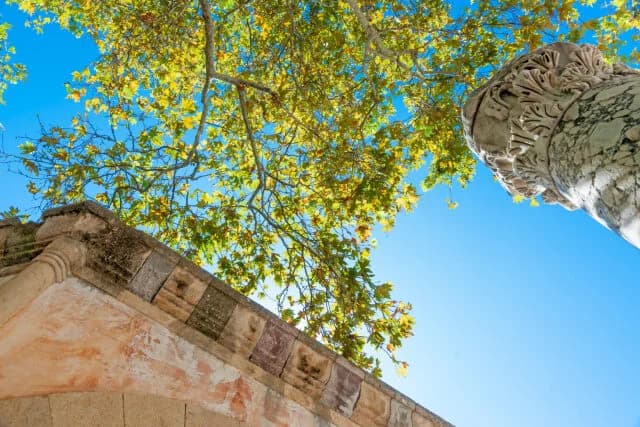 Urlaub in Kos: Die besten Erlebnisse auf der Insel des Hippokrates