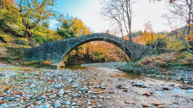 Πρωτοποριακή έρευνα στα Ιωάννινα για τη σωτηρία των πλατάνων