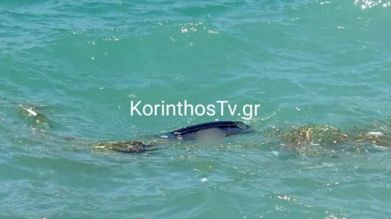 קורינתוס: מכונית נפלה לים - הנהג מת