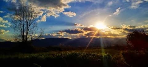 Orange Alert for High Temperatures – Red Alert for Fires