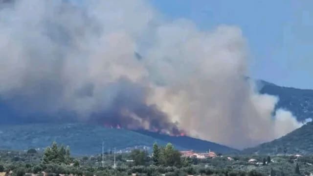 שריפה בפטרלונה, מסניה: הופעלה התראה 112
