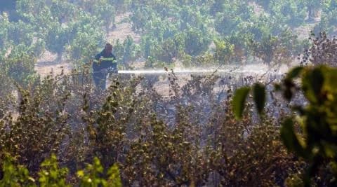 Omodos Community Leader Appeals for Support of Agrotourism in Fire-Affected Areas