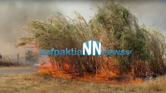 Fire in Galatas, Aitoloakarnania – 112 Alert Issued
