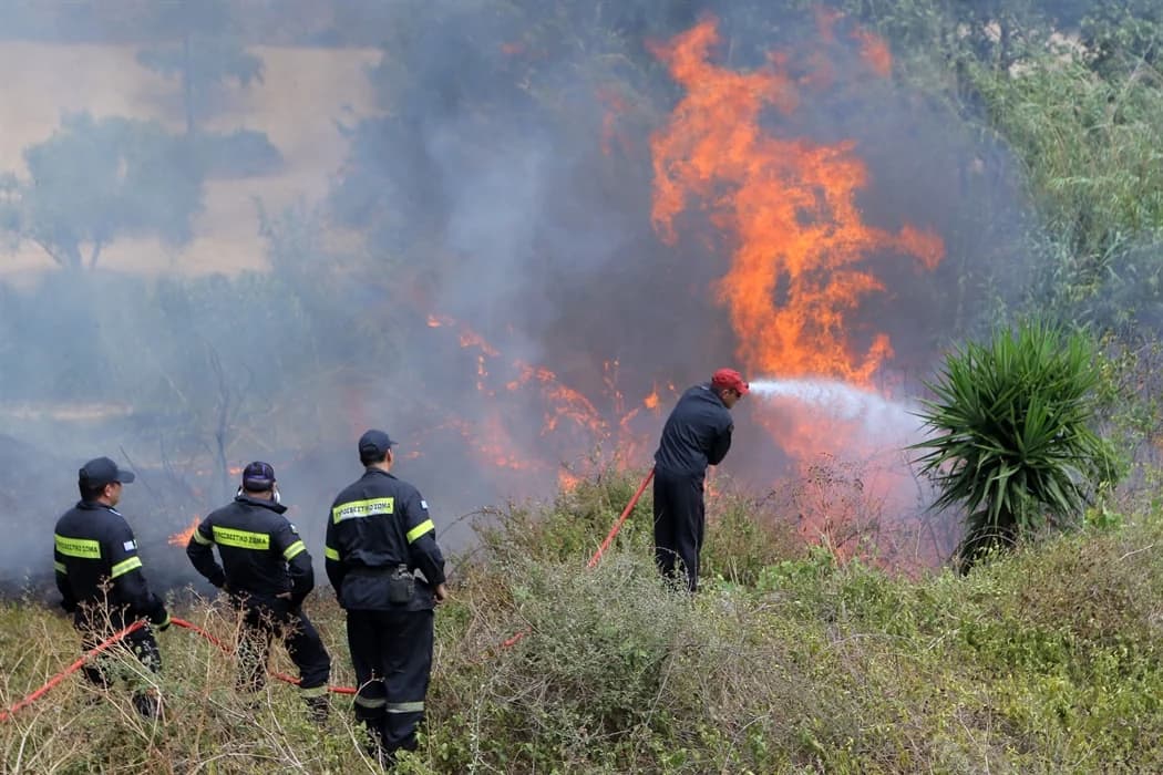 Έκκληση για άμεση απομάκρυνση παράνομων σκυβαλότοπων στην Κύπρο