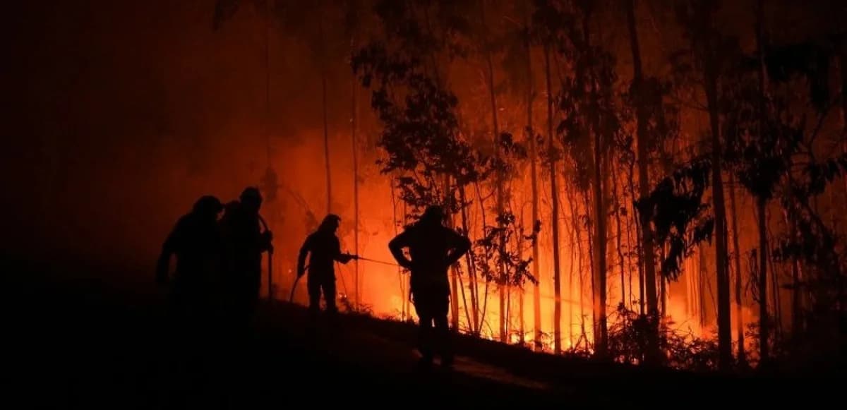 Spanien: Ein Toter bei Waldbrand in der Nähe von Madrid