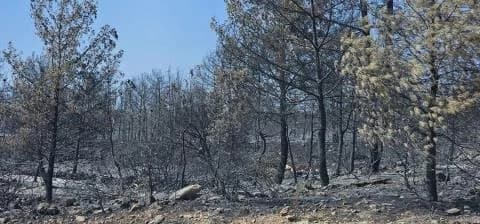 €139.622 για μισθούς πυρόπληκτων εργαζομένων στην ορεινή Λεμεσό