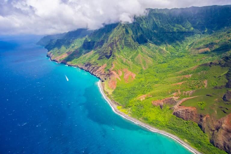 Tausende Mücken werden in Hawaii von Drohnen freigesetzt, um Vögel zu retten