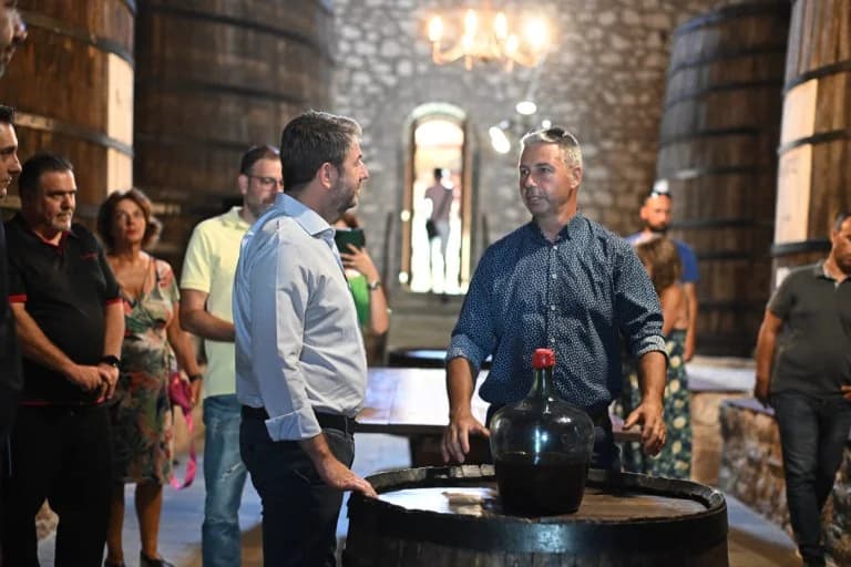 Androulakis: El escándalo de OPEKEPE muestra el fracaso de ND en el sector primario