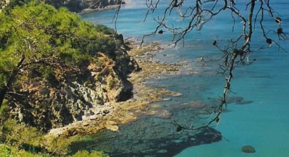 Akamas National Forest Park: Green light for first phase of works