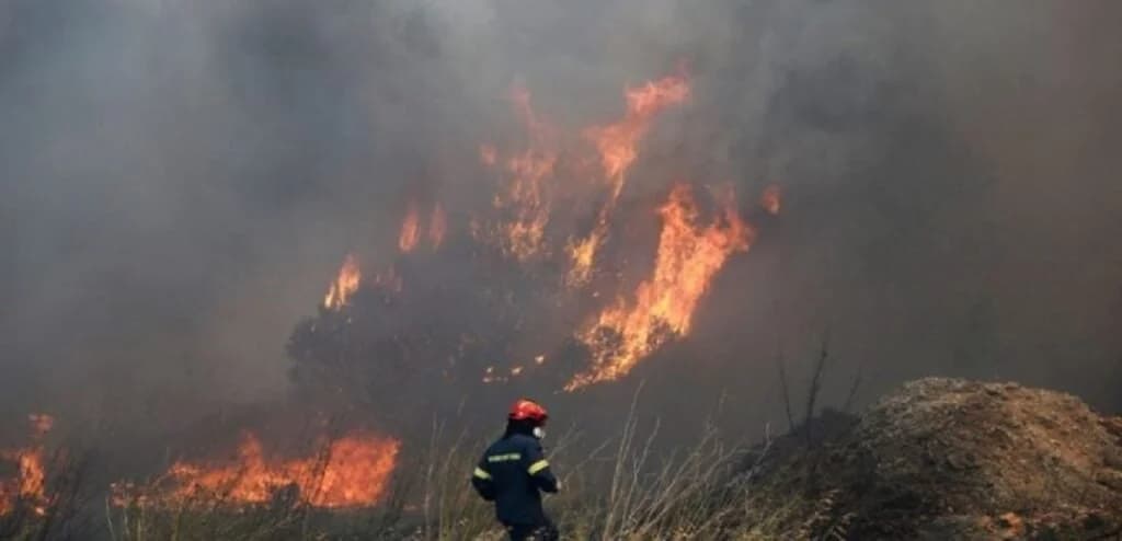שריפות בזקינתוס ובאכאיה: פינויים ופציעות
