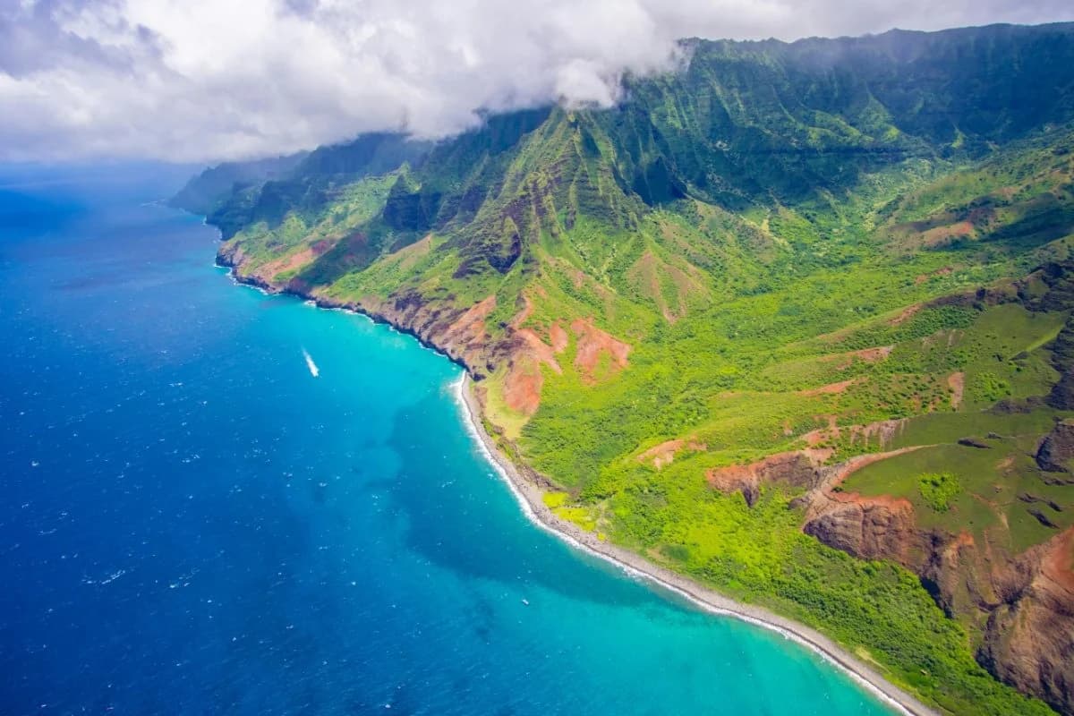 Hawaii: Drones Release Thousands of Mosquitoes to Save Honeycreepers