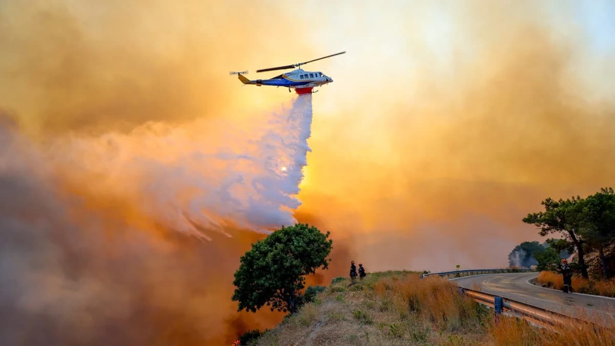 Chios: Extensive Damage to Power Grid Due to Wildfire
