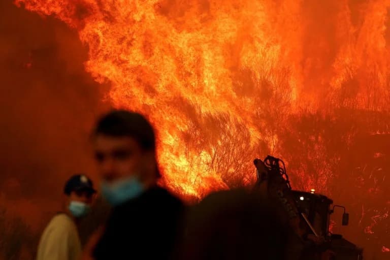 Mittelmeer in Flammen: Kampf gegen Waldbrände in Südeuropa