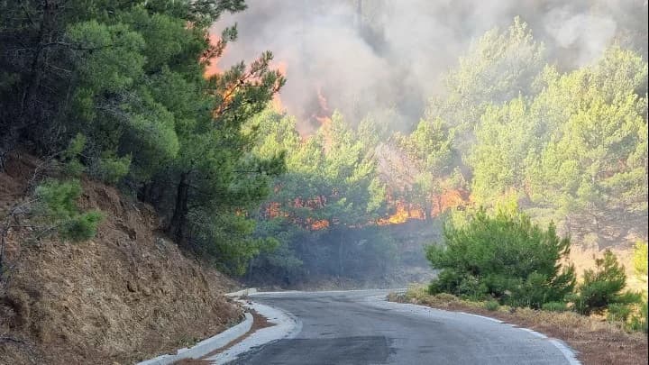 Greece Ablaze Again: Fires in Preveza, Zakynthos, Achaia, and Chios