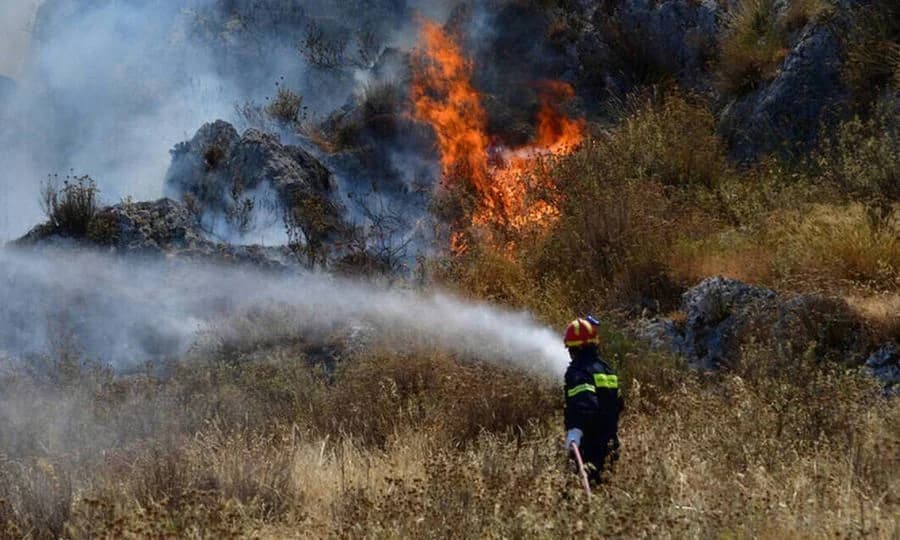 Forest Fire in Mandria, Limassol Under Full Control