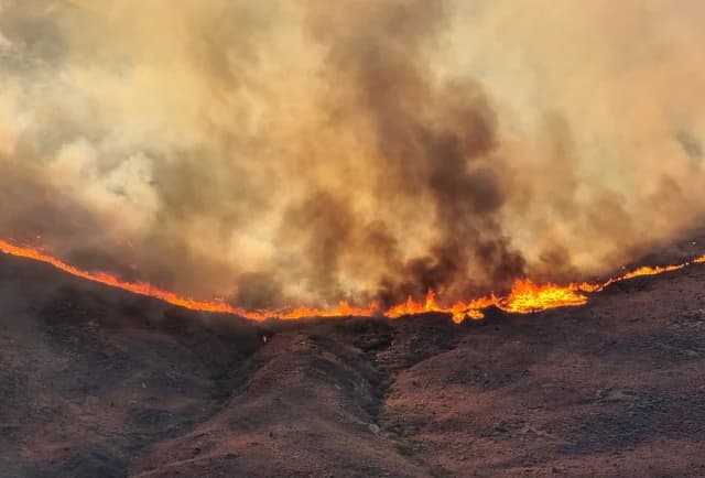 New York Times: Südeuropa in Flammen – Tote in Spanien, Türkei, Montenegro, Albanien