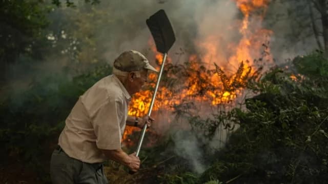 Spanien: Drei Tote bei Waldbränden im Nordwesten