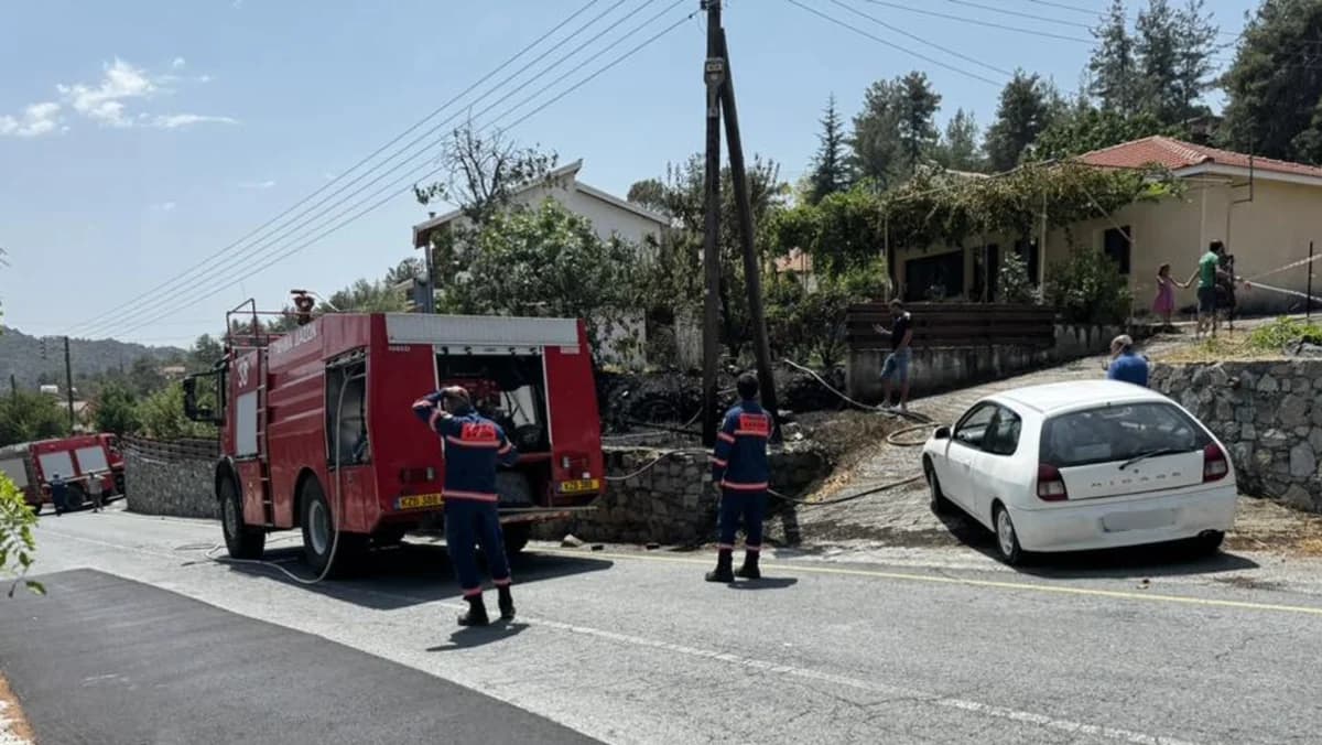 Φωτιά κοντά σε σπίτι μετά από πτώση κλαδιού σε καλώδια της ΑΗΚ