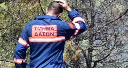 Hohes Risiko von Waldbränden – Warnung der Forstbehörde