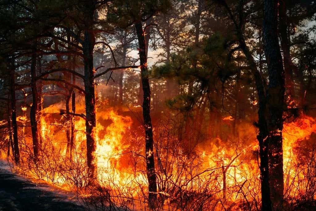 Ενεργοποίηση του Μηχανισμού Πολιτικής Προστασίας της ΕΕ 16 φορές για πυρκαγιές