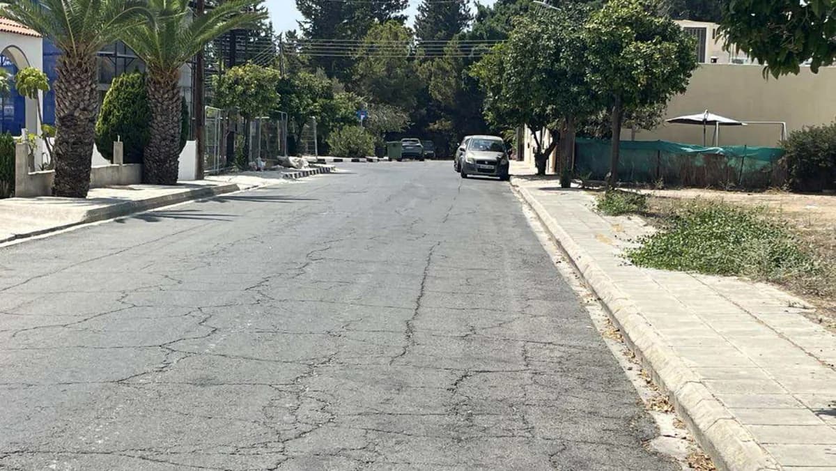 Gruesome Images: Pig Killed and Head Thrown in Neighborhood