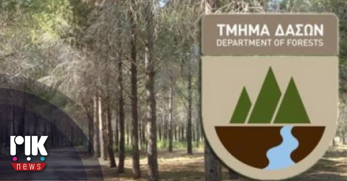 «Красная тревога» из-за лесных пожаров: призыв к осторожности