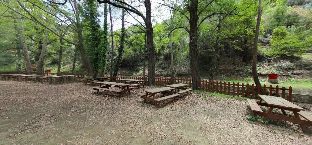 Verfügbarkeit von Picknickplätzen am 15. August in Zypern