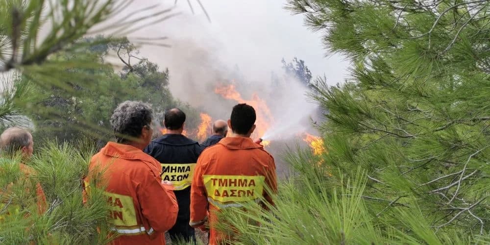 Forest Department on Alert, Patrols Increased to Prevent Fires