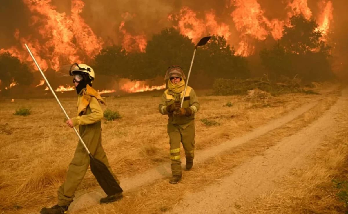 Spanien: Waldbrände fordern 7 Menschenleben und verbrennen 1,5 Millionen Hektar